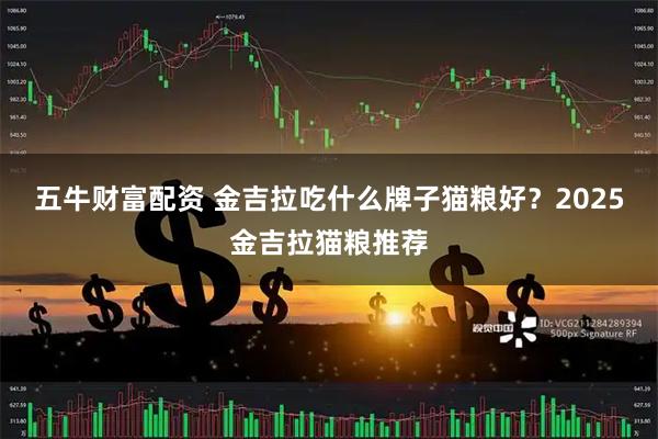 五牛财富配资 金吉拉吃什么牌子猫粮好？2025金吉拉猫粮推荐